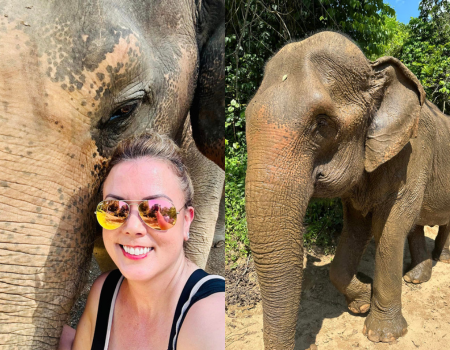 Elephant Elephant
